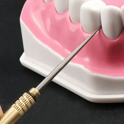 2 Pièces Porte-Cure-Dents de Poche Réutilisables pour Voyage et Repas en Extérieur (1/3)