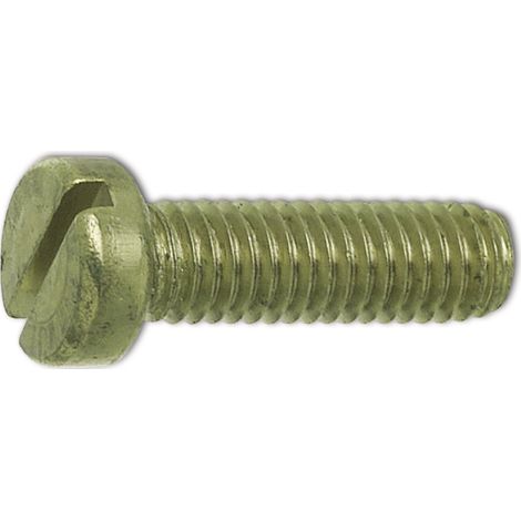 ISO1207 M 5x 10 Messing blank Zylinderschraube mit Schlitz (DIN84A)