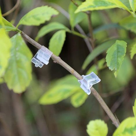 100pcs Clips de Greffage pour Plantes, Pince de Greffe pour Tomate et Aubergine, Support en Plastique (1/4)