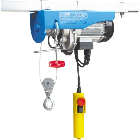 Elektroflaschenzug - Hubkapazität 250 / 500 kg - TOOL FRANCE - 991G (1/5)
