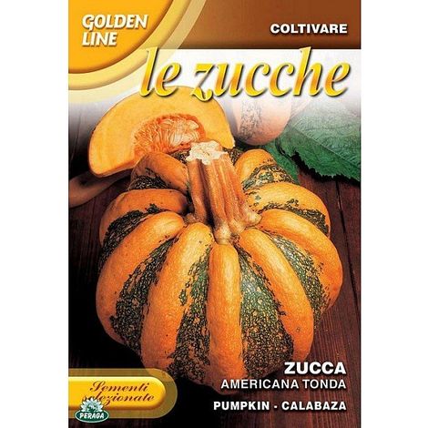 BUSTINA CON SEMI DI ZUCCA AMERICANA TONDA (1/2)