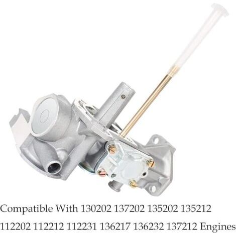 Pair Compatible avec carburateur 135202 pour Briggs Stratton 5hp 5,5hp 498298 130202 492611 135292 137202 130212 130232 (1/3)