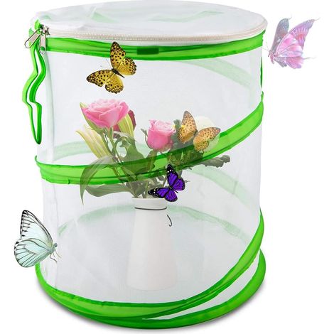 Cage à insectes et papillons pliable et pliable, 30 x 35 cm, idéale pour l'éducation scientifique. (1/5)