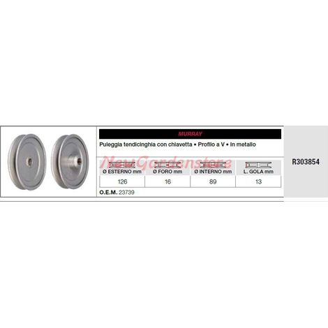 MURRAY Rasenmähertraktor-Riemenspannrolle R303854