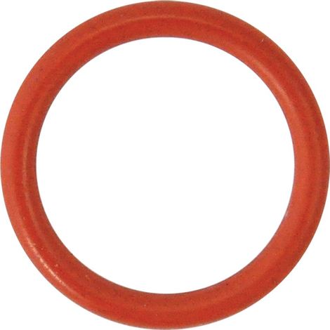 Guarnizione O-Ring per perno No5 spremipomodoro in silicone rosso mm 29,82 x 2,62 ricambio accessorio