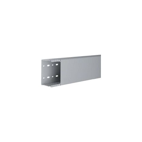 Tehalit Verdrahtungskanal BA6 60100B gr 2 Stk (1/2)