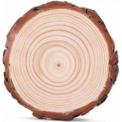 Kaelt - 12PCS Tranches de Bois Naturel 10 11cm Épaisseur de 10mm, Rondelle Rond en Bois Rustique pour Artisanat Bricolage Décoration Murale (1/5)