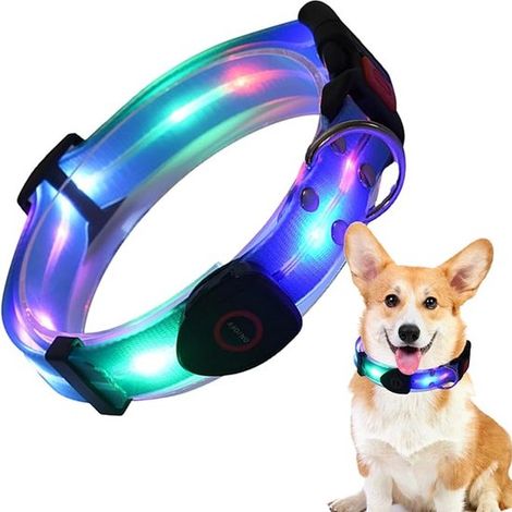Collare luminoso per cani, 1 pezzo, collare a LED ricaricabile, impermeabile e regolabile, collare luminoso per cani di piccola taglia (1/5)