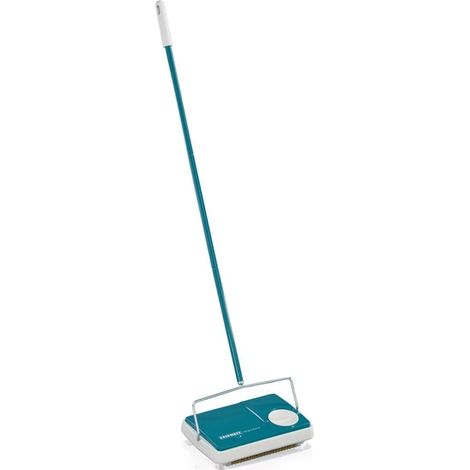 Balai Mécanique Regulus turquoise, Balai Tapis 3 Brosses, 22 cm (1/5)