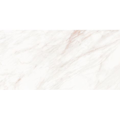 Mexen Forever Grey grès émaillé rect. G1, carreau sol-mur 120 x 60 cm, brillant - TL139-120-060-00 (1/5)