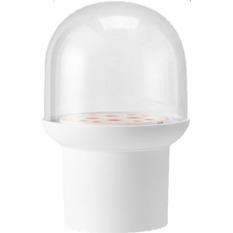 Boîte De Rangement Pour Brosses À Maquillage - Couvercle Transparent - En Plastique Épais 3 Mm - Pour 15 À 20 Brosses - 1 Pièce (1/5)