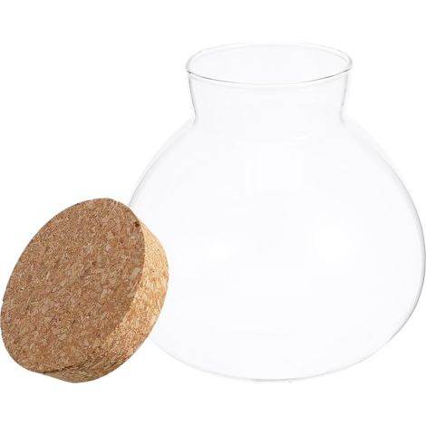 Rundes Pflanzen Terrarium Glas mit Korkdeckel 15 (1/5)