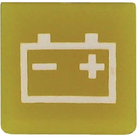 Symbole de batterie HELLA 9XT714300201 (1/3)
