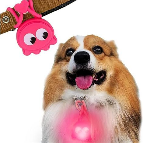 Pendentifs pour colliers de chien (1/5)