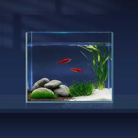 Ultra-White Glass Aquarium 3.8L, Complete Cleaning Kit, For Betta Goldfish, Home Office Decoration