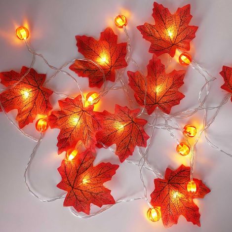 Guirlande Automne 3M 20LED À Piles Décoration Automne Noël Motifs saisonniers pour Thanksgiving et Halloween (1/5)