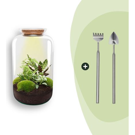 Terrarium pour Plantes DIY avec Lumière Écosystème Autonome Verre Ø 23 x 43 cm Kit avec Outils - PANGIVO (1/2)