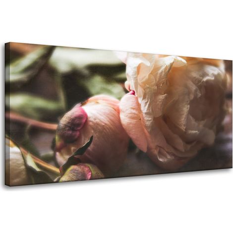 Leinwanddruck Botanik Blumen Pfingstrose 80x40 cm