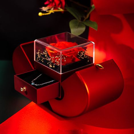 Boîte à bijoux en forme de pomme, boîte à alliances, boîte à bijoux en forme de rose pour collier et bracelet, cadeau idéal pour Noël, anniversaire, Saint-Valentin ou Nouvel An (1/5)