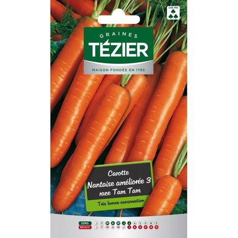Tezier - Carotte Nantaise améliorée 3 race Tam Tam Fort Grammage