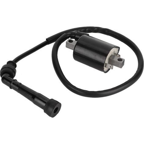 Bobine d'allumage, matériau de qualité supérieure, fabrication exquise pour la maison. (1/5)