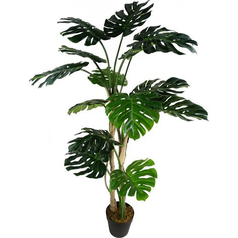 150cm (5ft) Luxury Monstera Plant Black Pot (1/5)