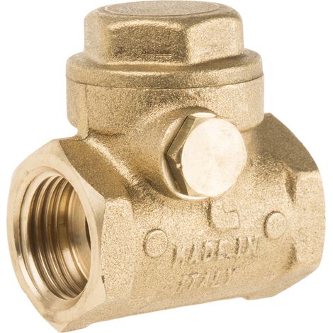 Clapet antiretour en Laiton RS PRO 1/2 in BSPP ( Prix pour 1 ) (1/3)
