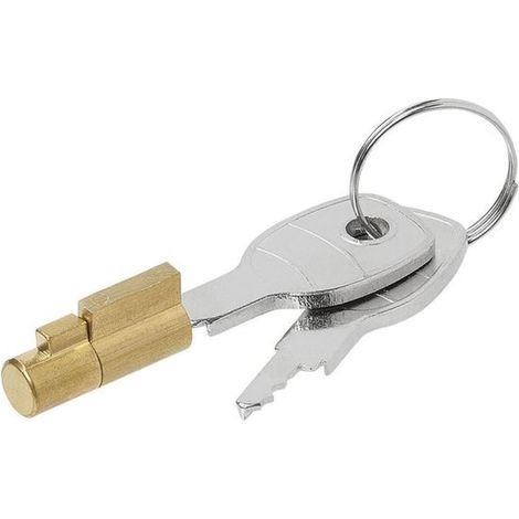 Serrure à mortaiser pour attelage à billes - Accessoire remorquage (1/5)