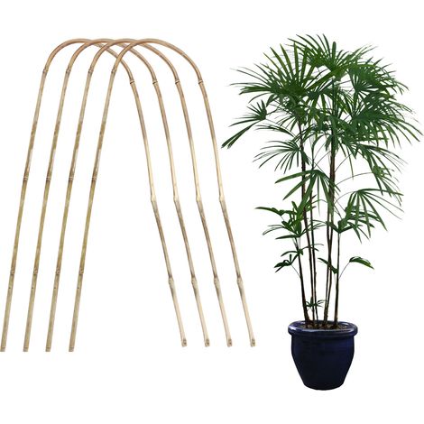 Treillis de plantes grimpantes en bambou élégant, pour la maison, le jardin en pot (1/4)