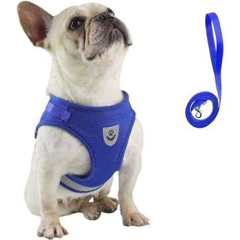 Corde de traction réglable pour harnais pour chien (bleu M) (1/4)