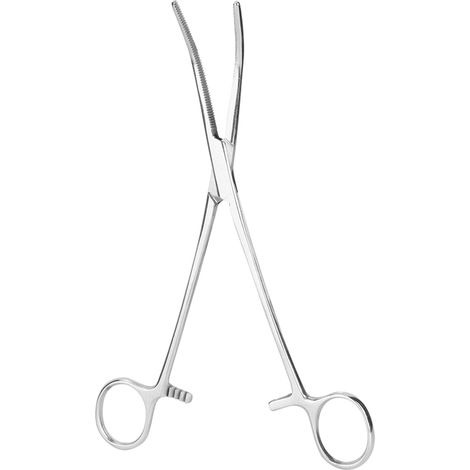 Pince hémostatique courbe en acier inoxydable 20cm pour poils d'animaux, pince à épiler pour chien et chat, clamp de nettoyage vétérinaire