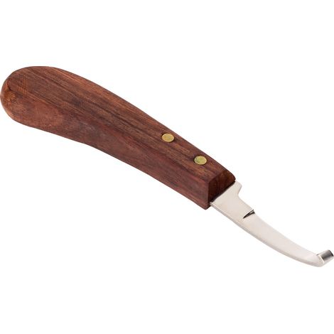 Couteau à sabot en acier avec manche en bois, outil pointu de parage des onglons pour bétail, travail à la ferme, main droite (1/5)
