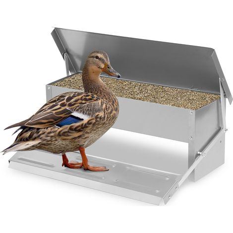 SWANEW Mangeoire XL pour poules distributeur automatique à pédale en acier 5 kg (1/5)
