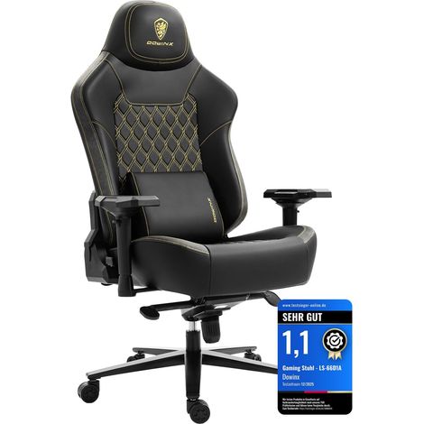 Dowinx Gaming Stuhl Schwarz, Ergonomisch, 200kg Belastbar, 4D Armlehnen, Höhenverstellbar, Lendenstütze, Büro & E-Sport