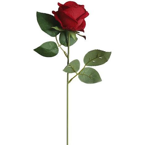 Rose artificielle en tissu, sans arrosage, réaliste, ne se fane pas, anti-décoloration, longue durée de vie, idéale pour la décoration de mariage et d'intérieur. Fournitures pour la maison.rouge (1/5)