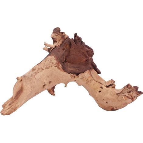 XL Mopani Wurzel Nr.4679 Holz Deko Aquascaping