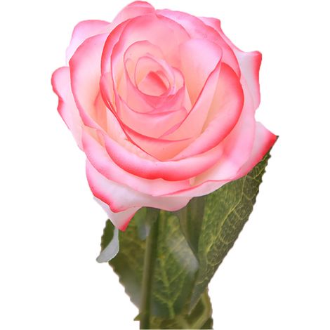 Bouquet De Fleurs Artificielles En Tissu Décoration Réaliste Pour Maison Et Événements - 1 Pièce (1/2)