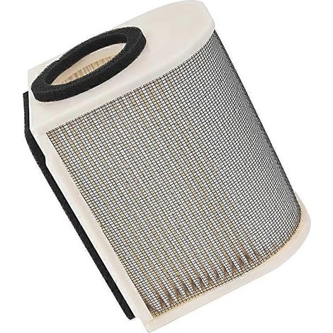 Filtre à air pour moto FJR1300 FJR 1300 A AE AS ES 2001-2023 XVS 1300 A Midnight (1/5)