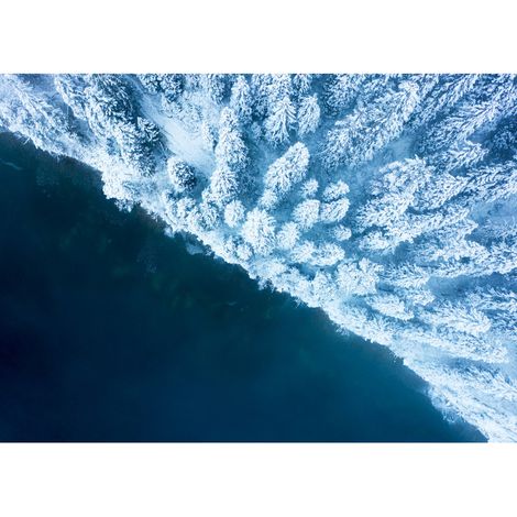 Tableau sur verre synthétique art et nature 65x97 cm - Impression sur Verre synthétique - Image HD  imprimée sur Verre synthétique - Tableau mural décoratif - Fabriqué en France (1/5)