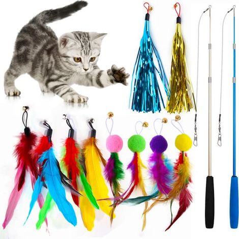 12 jouets à plumes pour chat, bâtonnet de pêche pour chat avec 2 pièces I (1/5)