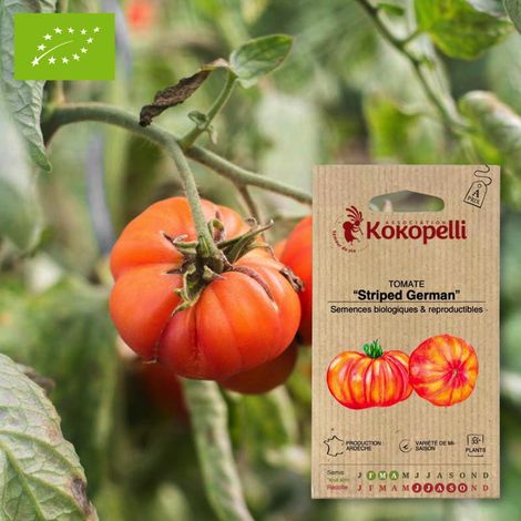 Tomate Striped German