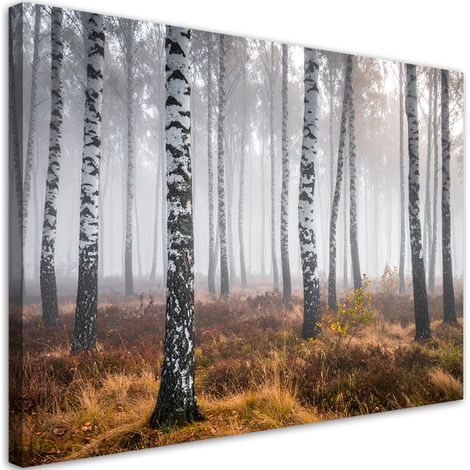 Bild auf Leinwand Birkenwald im Nebel Landschaft 45x30 (1/5)