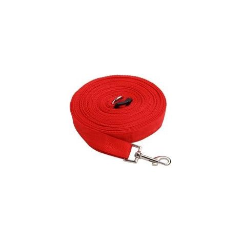 Longe pour Chien,15M Rouge Longe de Dressage Extra Longue pour Chiens, Petits, Moyens et Petits Chiens Idéal pour l'entraînement Le Jeu Le Camping ou Le Jardin (1/5)