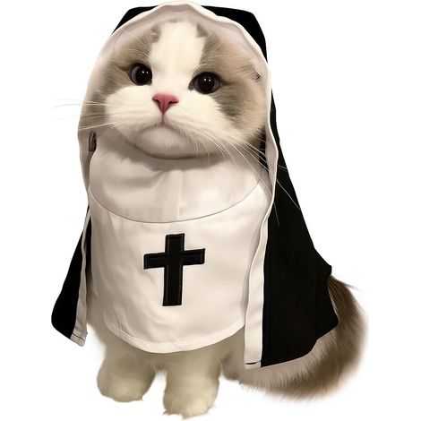 Haustier-Nonnenkostüm – Atmungsaktives und witziges Kostüm für kleine und mittelgroße Hunde und Katzen, ideal für Fotoshootings und Halloween. (1/4)