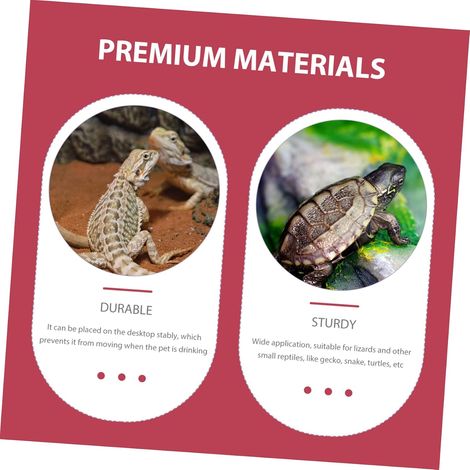 bol de nourriture et d'eau pour reptiles de 8 x 6 cm, facile à nettoyer, pour les petits reptiles, grenouilles, geckos, serpents, lézards et caméléons (1/5)