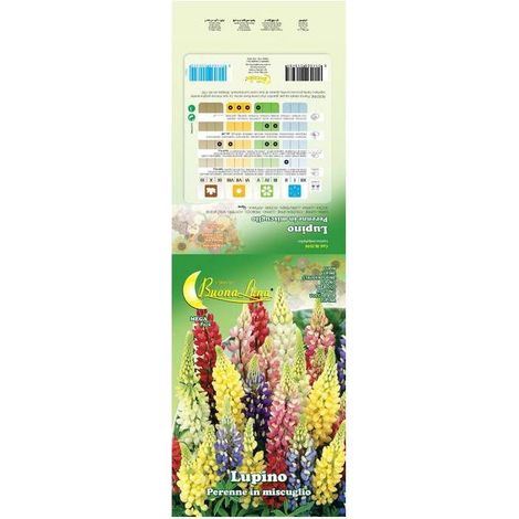 10 x SEMI GARDEN LUPINO PERENNE