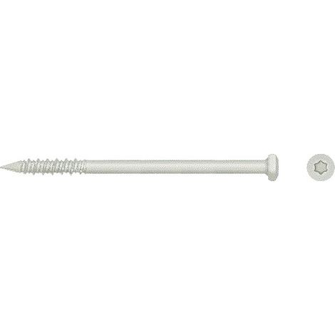 Tornillos RawlPlug R-WBT-61120 (100 unidades) (1/2)