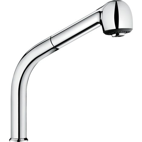 Delabie Auszugbrause auf schwenkbarer Säule H195 L215mm