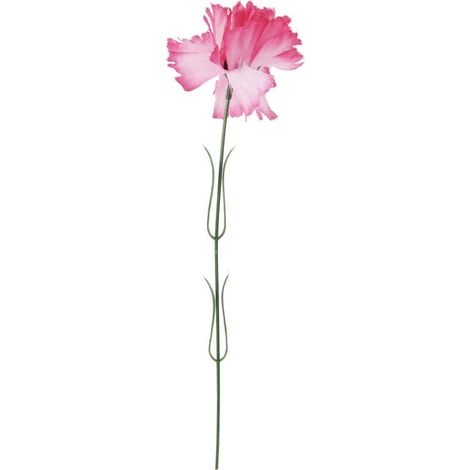 Garofano singolo, rosa chiaro, 46 cm (1/3)