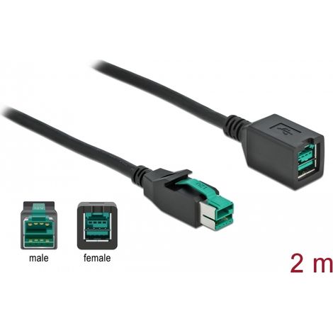 Delock Alargador PoweredUSB 12 V 2 m